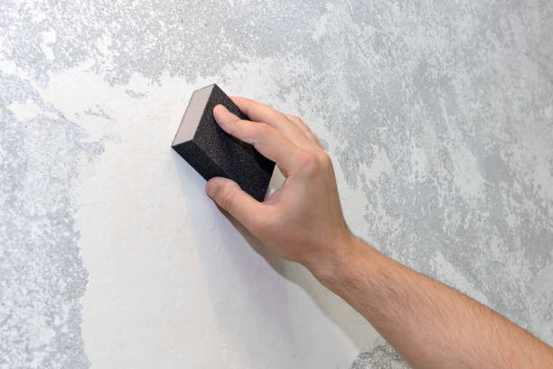 Best Basement Mold Removal  in Gorevle, IL
