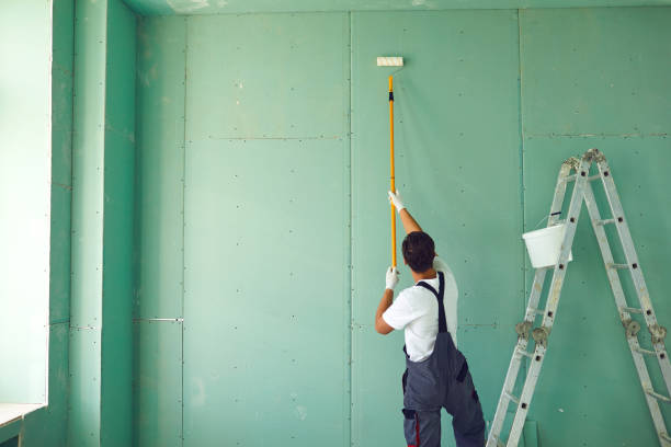Mold Remediation for Vacation Homes in Goreville, IL