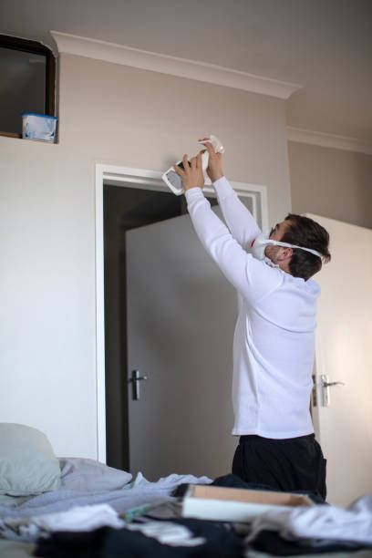  Gorevle, IL Mold Removal Pros