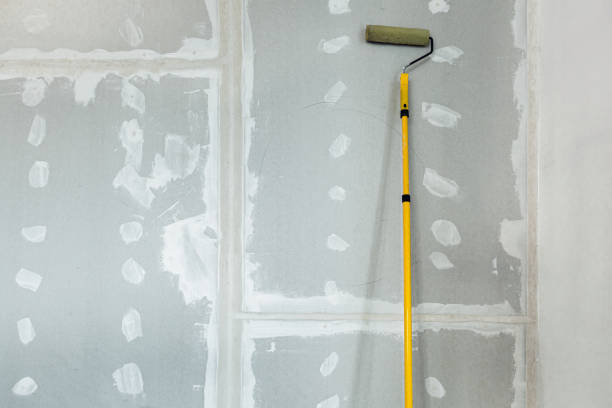 Best Forensic Mold Investigation  in Gorevle, IL