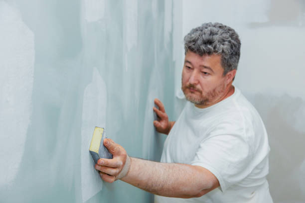 Best Mold Remediation for Healthcare Facilities  in Gorevle, IL