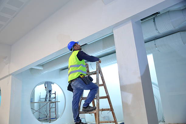 Best Black Mold Removal  in Gorevle, IL
