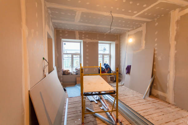 Best Mold Odor Removal Services  in Gorevle, IL