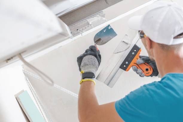 Best Mold Documentation for Insurance Claims  in Gorevle, IL